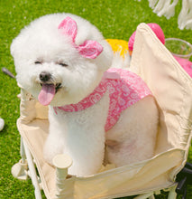 画像をギャラリービューアに読み込む, バンダナペイズリートップス pink