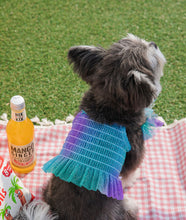 画像をギャラリービューアに読み込む, レインボーキャンディクロップトップス