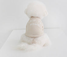 画像をギャラリービューアに読み込む, EUROPE tops ROME