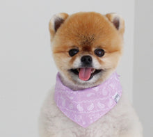 画像をギャラリービューアに読み込む, ペイズリーバンダナ