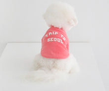 画像をギャラリービューアに読み込む, EUROPE tops SEOUL