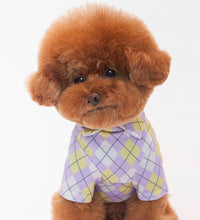 画像をギャラリービューアに読み込む, チェックカラートップス purple