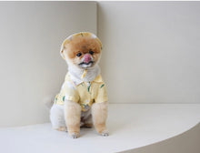 画像をギャラリービューアに読み込む, フラワーハット yellow