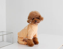 画像をギャラリービューアに読み込む, EUROPE tops PARIS