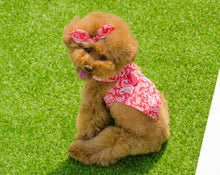 画像をギャラリービューアに読み込む, バンダナペイズリートップス red