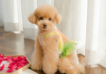 画像をギャラリービューアに読み込む, レインボーキャンディクロップトップス