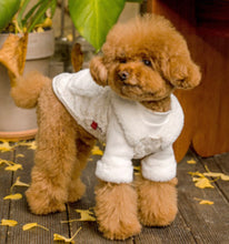 画像をギャラリービューアに読み込む, アームファートップス White