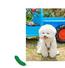 画像をギャラリービューアに読み込む, フラワーキャミソール red