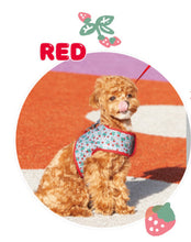 画像をギャラリービューアに読み込む, SET リバーシブルモチーフワッペンネームハーネス red