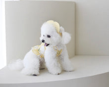 画像をギャラリービューアに読み込む, フラワーフリルシャツ yellow