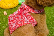 画像をギャラリービューアに読み込む, バンダナペイズリートップス red