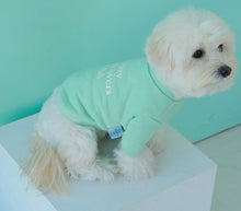 画像をギャラリービューアに読み込む, DOG lovers trainer baby mint