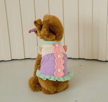 画像をギャラリービューアに読み込む, ピクニックニット Pastel