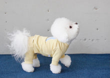 画像をギャラリービューアに読み込む, Rロゴトップス yellow