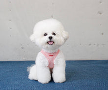 画像をギャラリービューアに読み込む, フルーツワッペンタンクトップ red