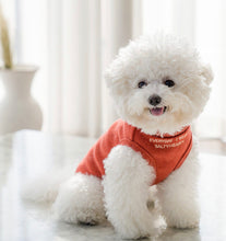 画像をギャラリービューアに読み込む, メッセージタートルニット bric