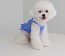 画像をギャラリービューアに読み込む, ペイズリーフリルシャツ Blue