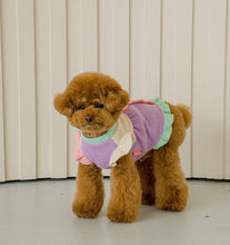 画像をギャラリービューアに読み込む, ピクニックニット Pastel