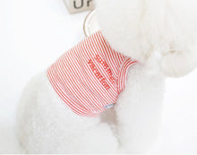 画像をギャラリービューアに読み込む, シンプルボーダーロゴキャミソール red