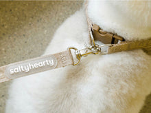 画像をギャラリービューアに読み込む, everyday lead