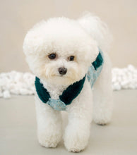 画像をギャラリービューアに読み込む, ファーレースワンピース green