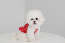 画像をギャラリービューアに読み込む, ペイズリーフリルシャツ red