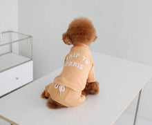 画像をギャラリービューアに読み込む, EUROPE tops PARIS