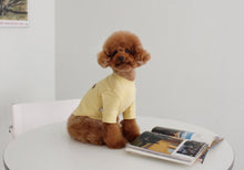 画像をギャラリービューアに読み込む, favorite mtm yellow