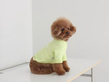 画像をギャラリービューアに読み込む, vacation tops lime