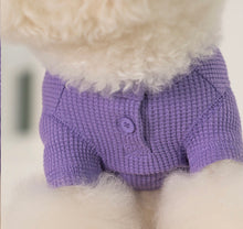 画像をギャラリービューアに読み込む, ワッフルトップス purple