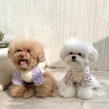 画像をギャラリービューアに読み込む, フラワーラグランTシャツ