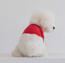 画像をギャラリービューアに読み込む, ワッフルトップス red