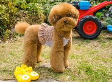 画像をギャラリービューアに読み込む, フラワーキャミソール yellow