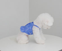 画像をギャラリービューアに読み込む, ペイズリーフリルシャツ Blue