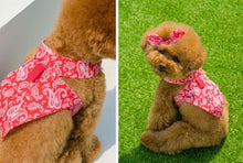 画像をギャラリービューアに読み込む, バンダナペイズリートップス red