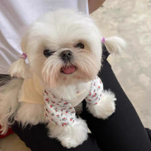 画像をギャラリービューアに読み込む, フラワーラグランTシャツ