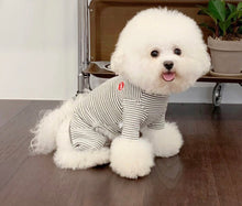 画像をギャラリービューアに読み込む, patch neck all-in-one White