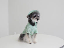 画像をギャラリービューアに読み込む, ペイズリーシャツ mint