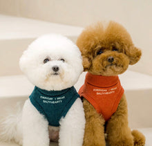 画像をギャラリービューアに読み込む, メッセージタートルニット green