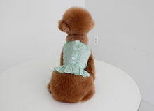 画像をギャラリービューアに読み込む, ペイズリーフリルシャツ mint