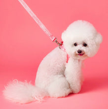 画像をギャラリービューアに読み込む, everyday lead