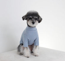 画像をギャラリービューアに読み込む, カラーリブトップス Blue