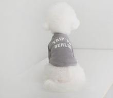 画像をギャラリービューアに読み込む, EUROPE tops BERLN