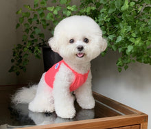 画像をギャラリービューアに読み込む, ネオンキャミソール pink