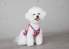 画像をギャラリービューアに読み込む, ボタニカルキャミソール red