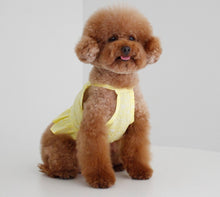 画像をギャラリービューアに読み込む, ペイズリーフリルシャツ yellow