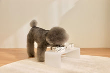 画像をギャラリービューアに読み込む, hand painting ceramic bowl