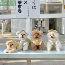 画像をギャラリービューアに読み込む, チェックトップス サンバイザーセット