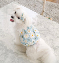 画像をギャラリービューアに読み込む, フラワーレースパフブラウス Blue