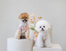 画像をギャラリービューアに読み込む, フラワーフリルシャツ pink